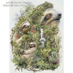 (image for) Sloths